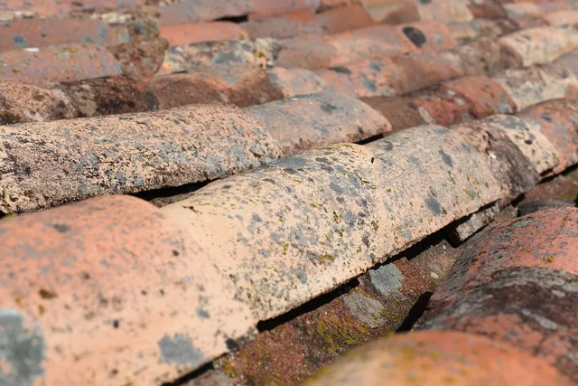 shingles, roof, house, construction, roofing, roofer, exterior, roof repair, rooftop, tile, house roof, house exterior, aged, brown construction, roof repair, roof repair, roof repair, roof repair, roof repair, rooftop. Acrylic vs. Elastomeric Roof Coating: Cost per Square Foot