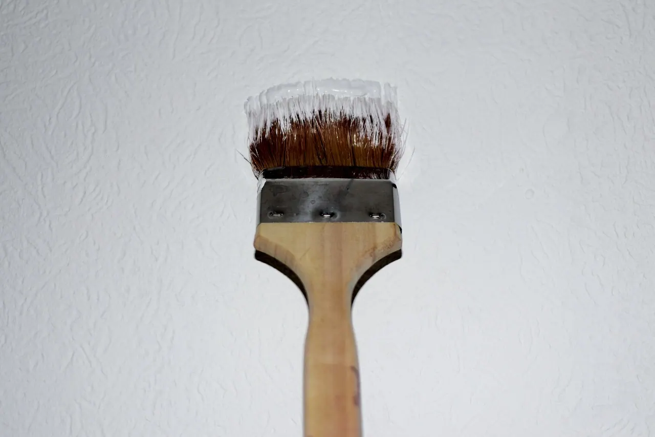 paint brush, to brush, wall, painter, renovate, painting, painting work, bristles, house painter, white, fashion, to paint